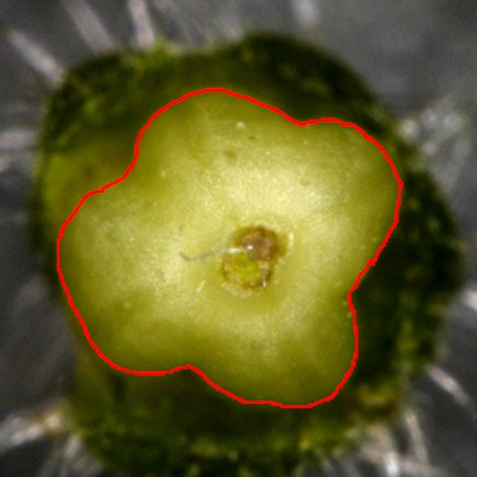 筑波大学らとの共同研究が論文として掲載されました。