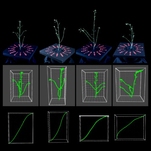 甲南大学らとの共同研究が論文として掲載されました。