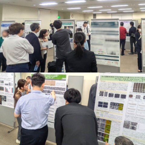 日本メンデル協会第2回大会で発表しました。