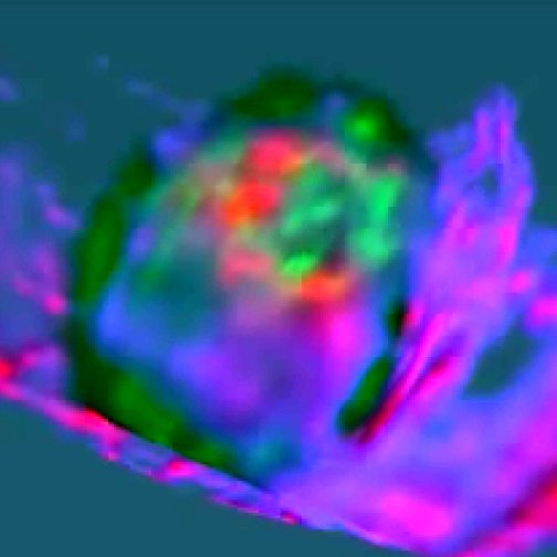 カリフォルニア大学との総説論文が掲載されました。