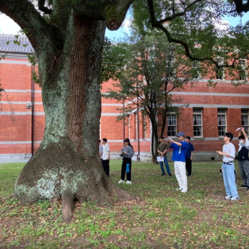３年生実習「デジタル画像生物学実習」を行いました。