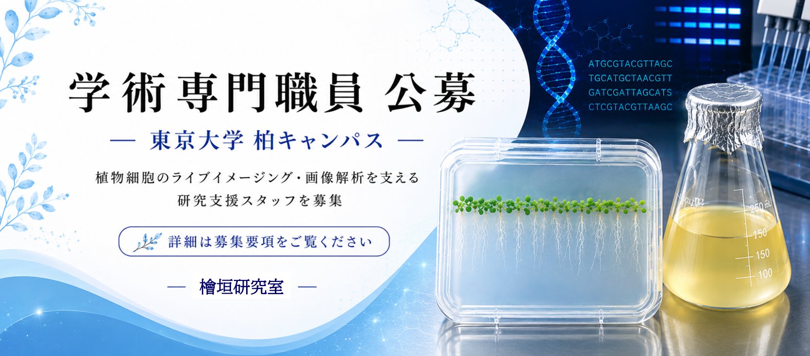 学術専門職員を公募しています