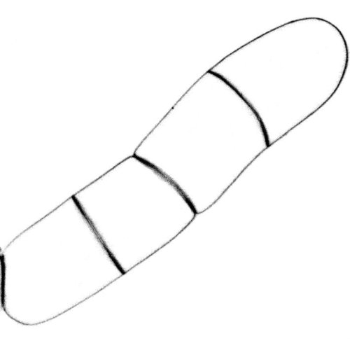 東京大学との共同研究が論文として掲載されました。