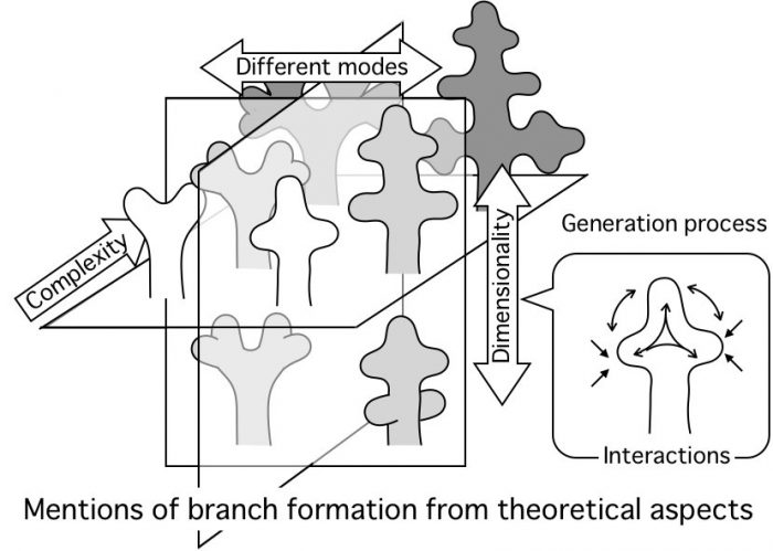 総説論文が掲載されました。